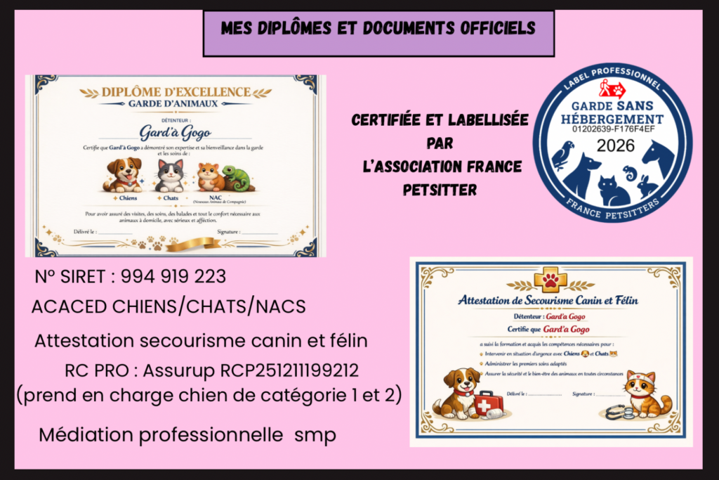 votre texte de paragraphe